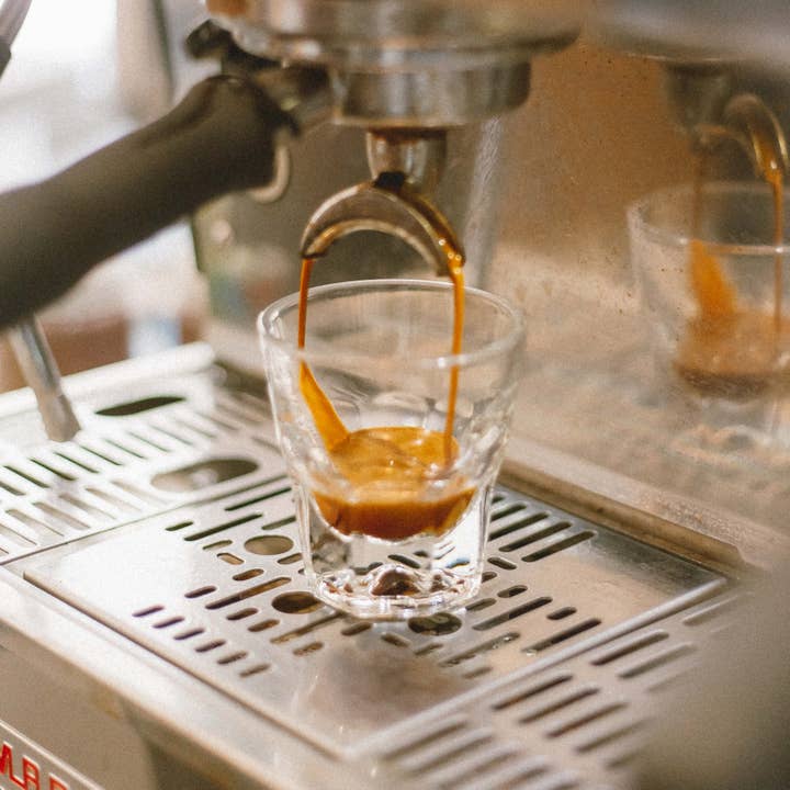 Go Get Em Tiger - Wholesale Coffee Beans - Minor Monuments - Espresso Roast2