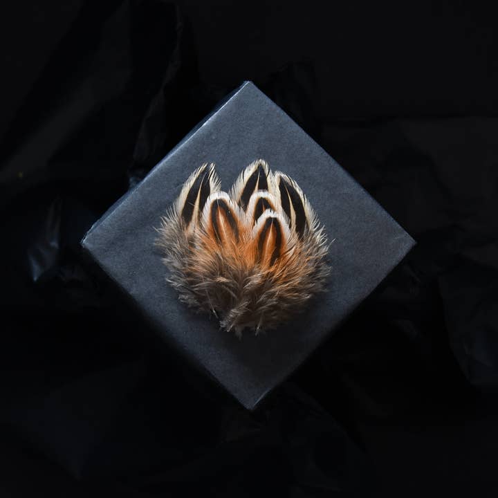 Pheasant feathers for wholesale by Plumes Naturelles