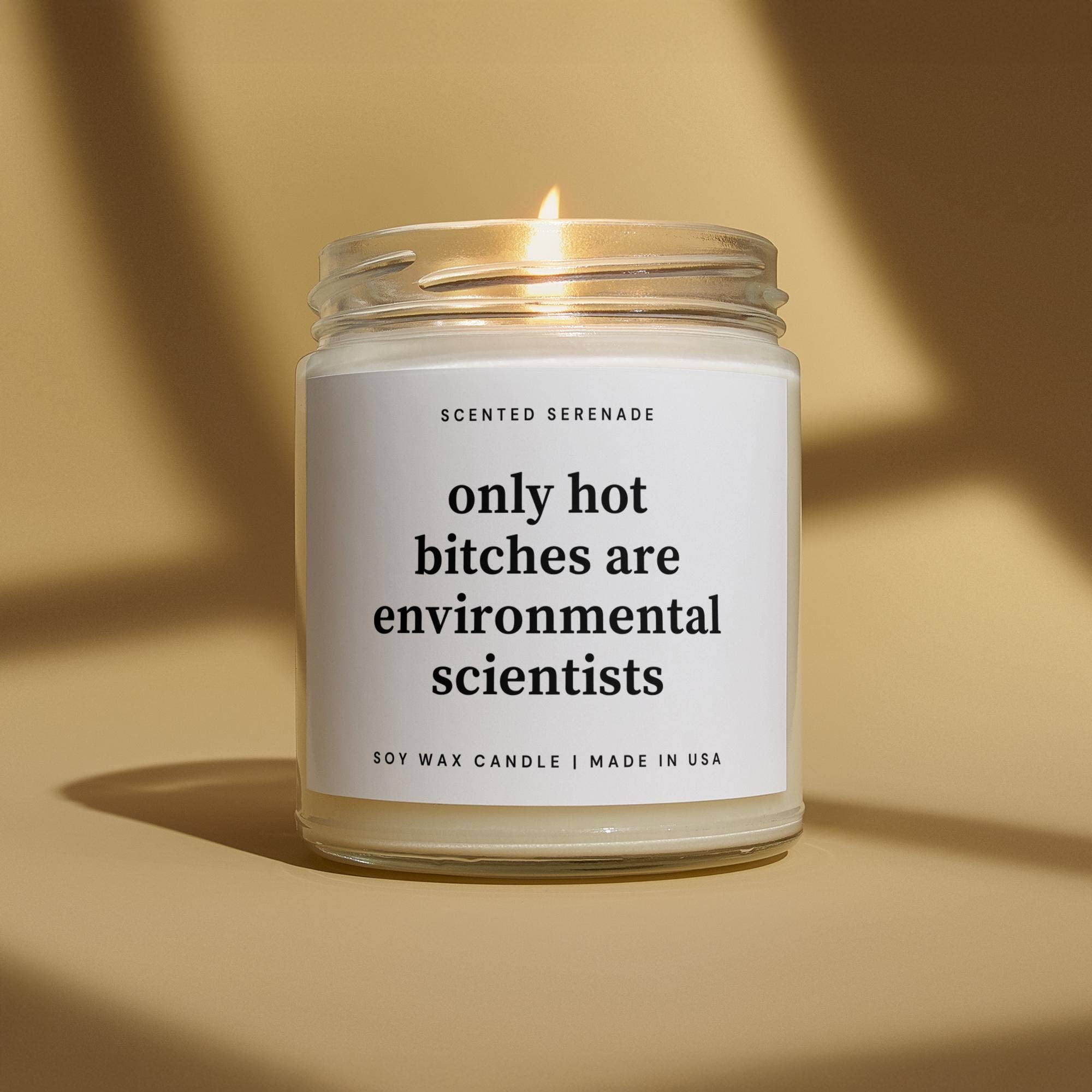 Scented Serenade - Wholesale Jar/Filled Candle - Funny Environmental Scientist Gift Candle0