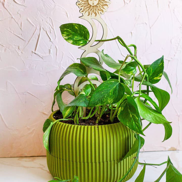 The Print Pantry - Vente Treillis - Tuteur en bois pour plantes Soleil et Lune9