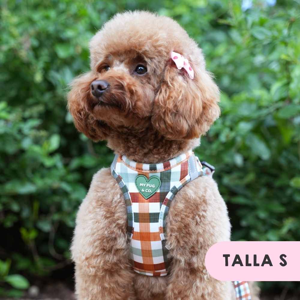 My Pug & Co. - Wholesale Pet Harness - Dog - Autumn Picnic Body Harness5