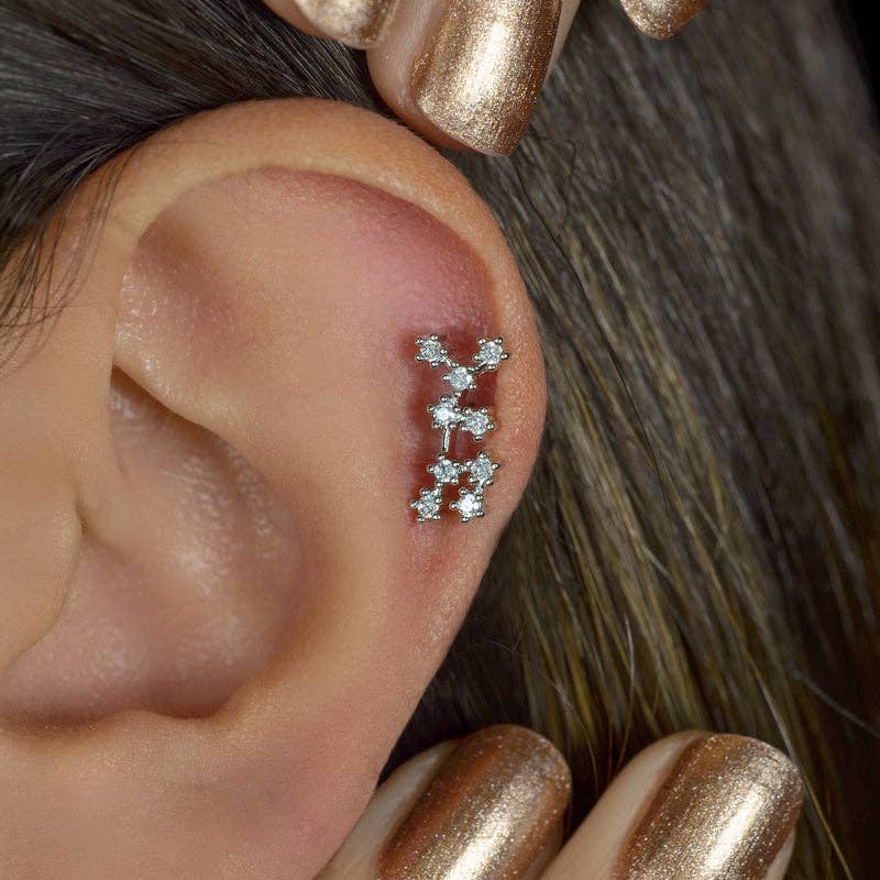StockJWL - Wholesale Stud/Post Earrings - 12 Zodiac Earrings, Constellation Stud Earring Stud Piercing Tragus Helix Lobe and Cartilage Silver And Gold52
