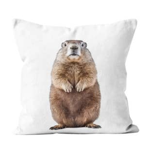 Coussin Marmotte pour la vente par Artpilo