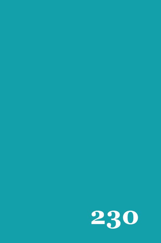 Lakshmi® - Wholesale Eyeshadow - Color Kajal Aqua Pearl No. 2301