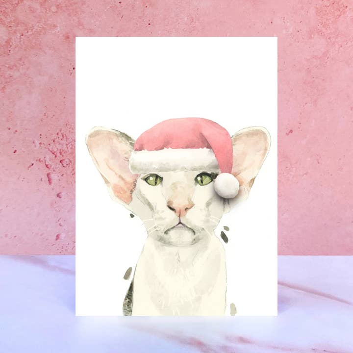 Biglietto natalizio con pompon orientale per la vendita all'ingrosso da parte di Robert James Hull