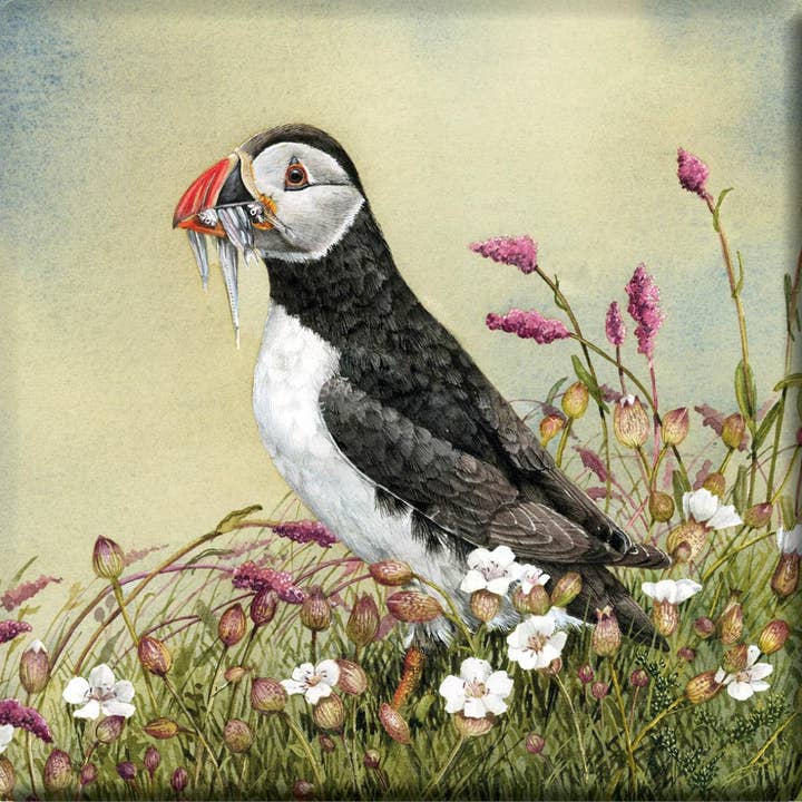 Jennifer Bell Fish Supper (Puffin) Stone Coaster for wholesale by Nauticalia