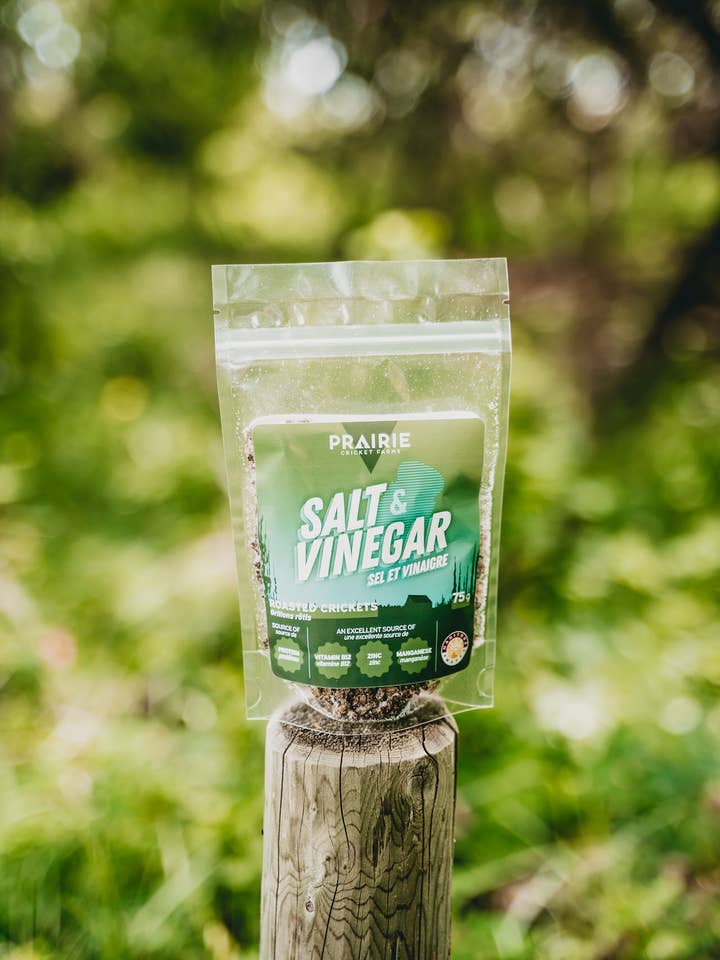 Grillons rôtis au sel et au vinaigre pour la vente par Prairie Cricket Farms