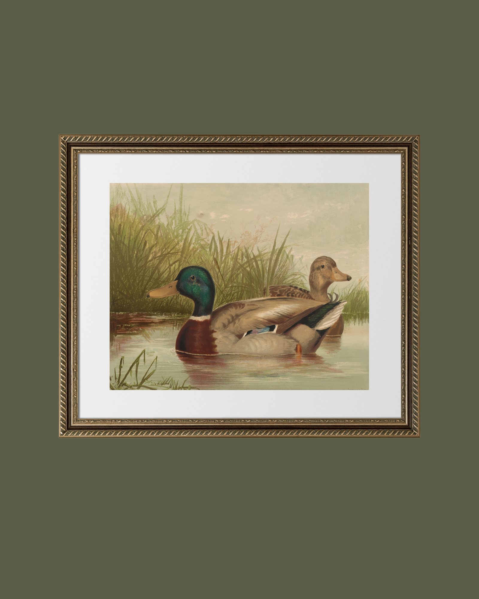 Sea to Skye - Wholesale Art Print - Ducks on the Pond Antique Art Print5