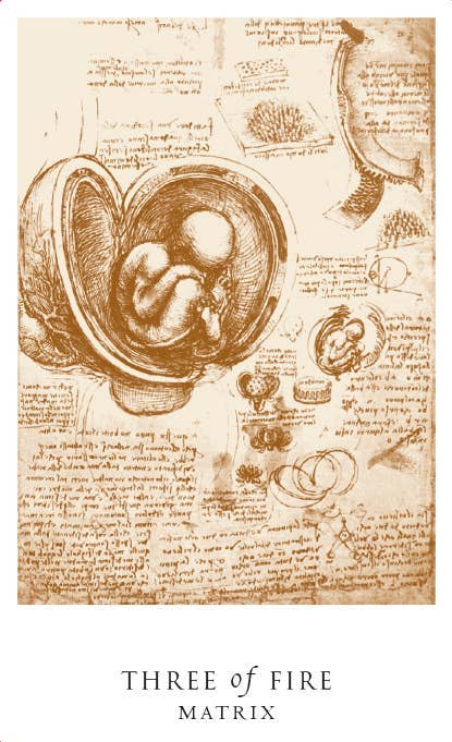 Schiffer Publishing - Wholesale Tarot Cards - Da Vinci Enigma Tarot9