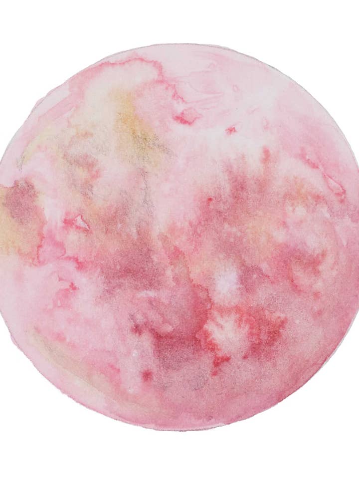 Jordbær Moon for engroshandel hos Elle Sorridente