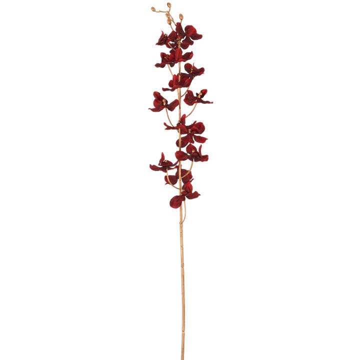 Orchidee, 87cm, rot für den Großhandel von GASPER GmbH