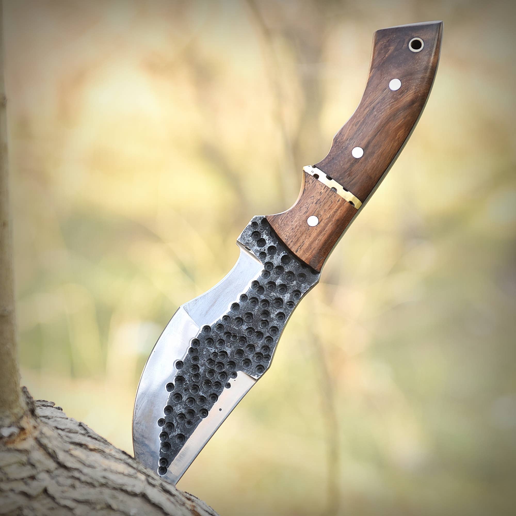 Deer Edge - Wholesale Pocket Knife/Holder - 10" Bushcraft Tracker Knife with Leather Sheath for men6