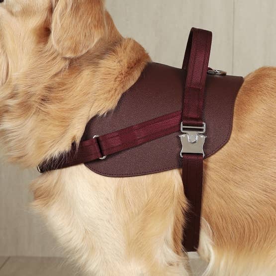 Saddle Harness - Burgundy for wholesale by Hozi