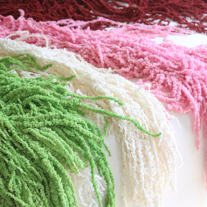 Roxanne's Dried Flowers - Wholesale Dried/Pressed Flowers - Amaranthus (Hanging) - Preserved5