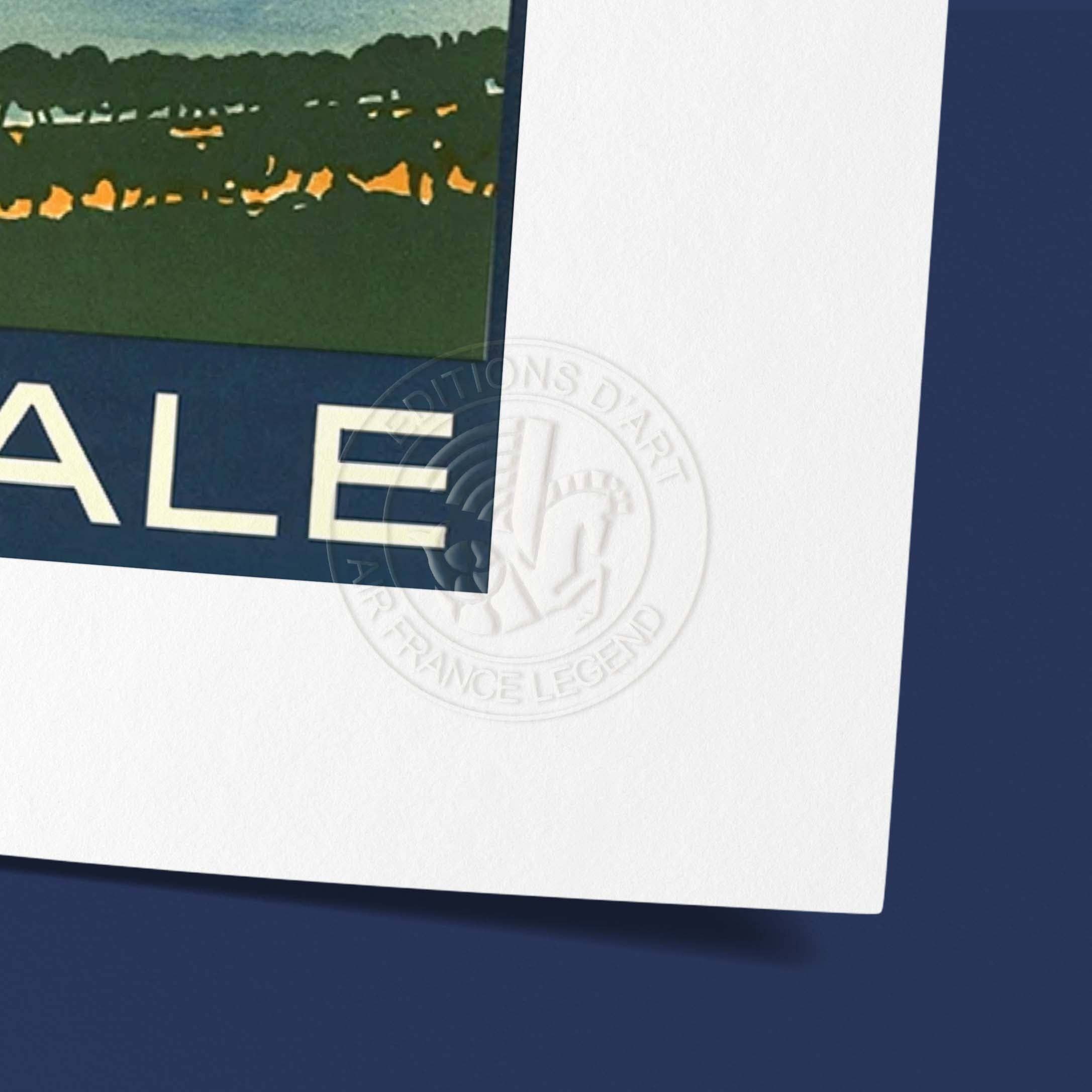 Oneart - Wholesale Poster - Air France Aéropostale Display / The Fast Line - AFL05682