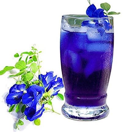 Zi Chun Teas - Wholesale Health/Detox Tea - Organic Butterfly Pea Flower Tea - Anti-aging and Autophagy Support3