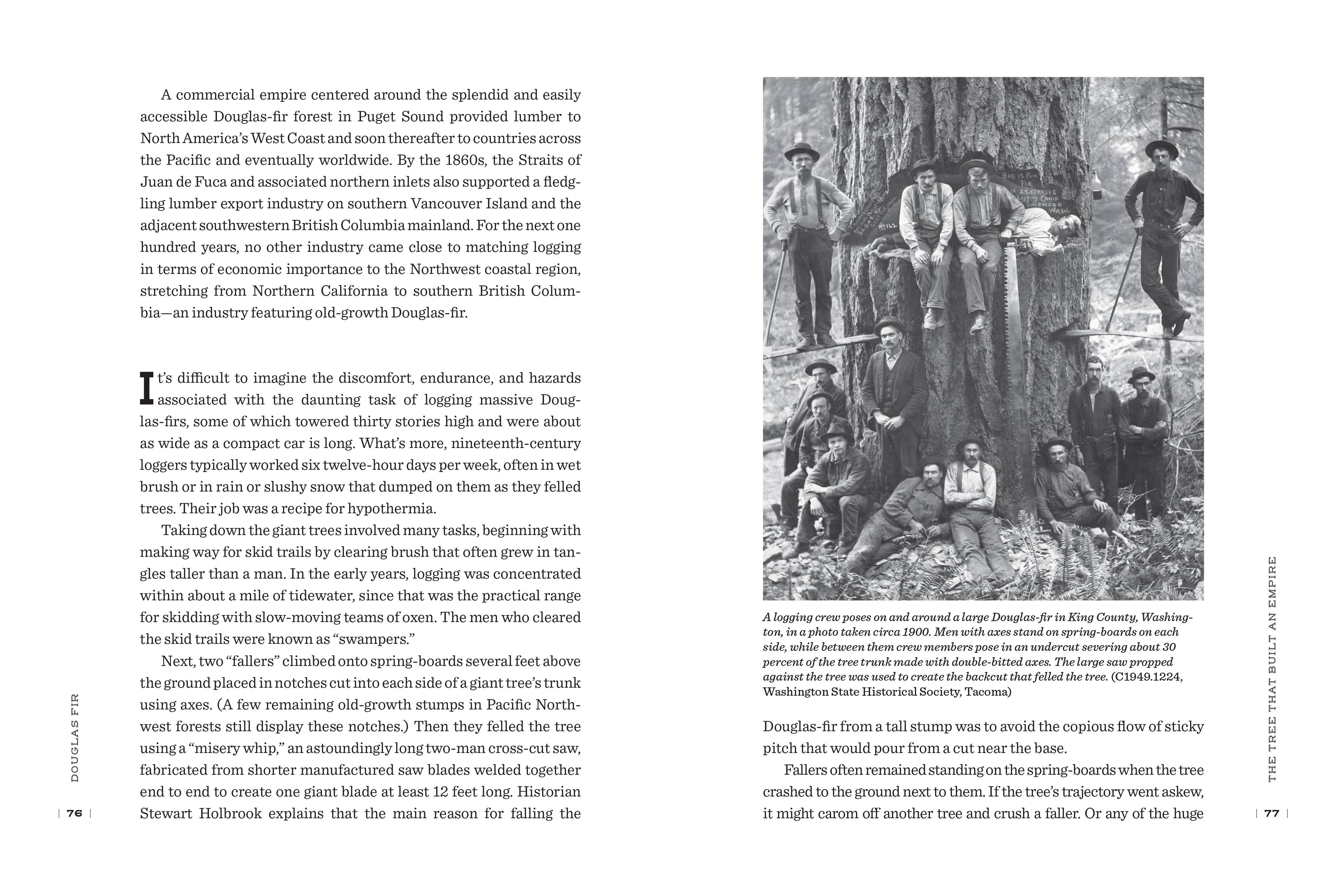 Mountaineers Books - Wholesale Nature & Outdoors - Douglas Fir: The Story of the West’s Most Remarkable Tree3