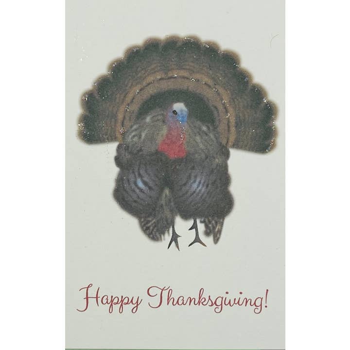 Studio Daedre - Wholesale Season's Greetings Card - Turkey Thanksgiving - Gift Enclosure Cards