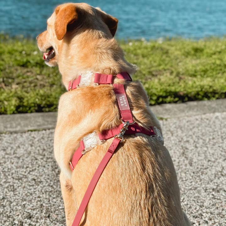 SUNNY TAILS - Wholesale Pet Harness - Dog - Mulberry Burgundy Cloud Lite Dog Harness
