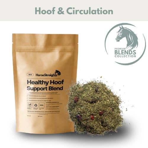 Healthy Hoof Support Blend for wholesale by Horse Straights Direct