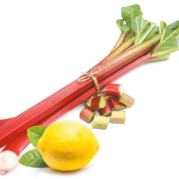 Graine Créative - Wholesale Fragrance Oil - SKIN SCENT PRECIOUS AMBER CANDLE1