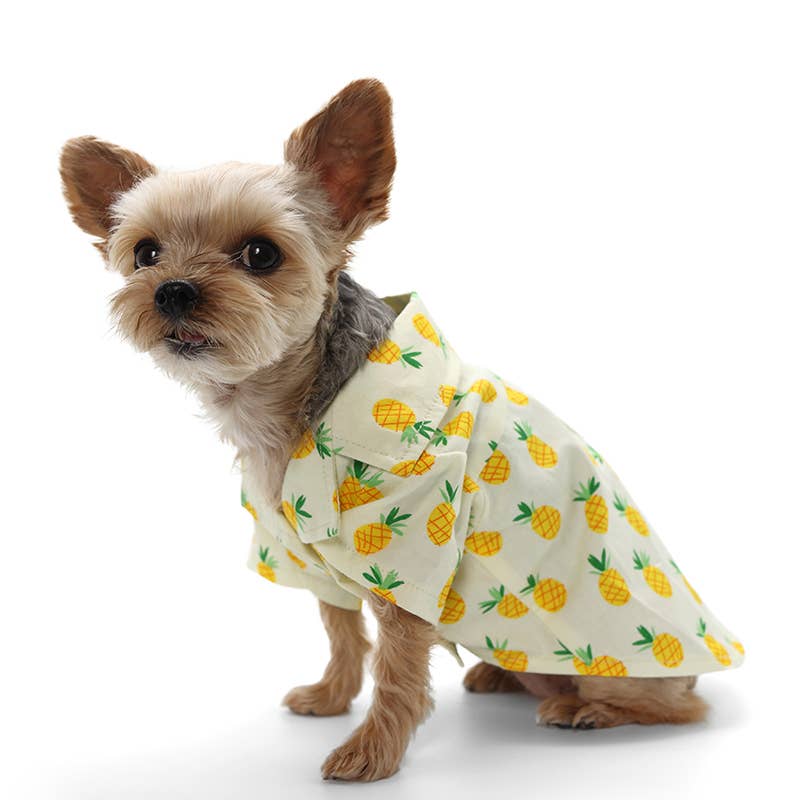 Dogo Pet - Wholesale Pet Shirt - Dog - Pineapple Shirt Yellow2