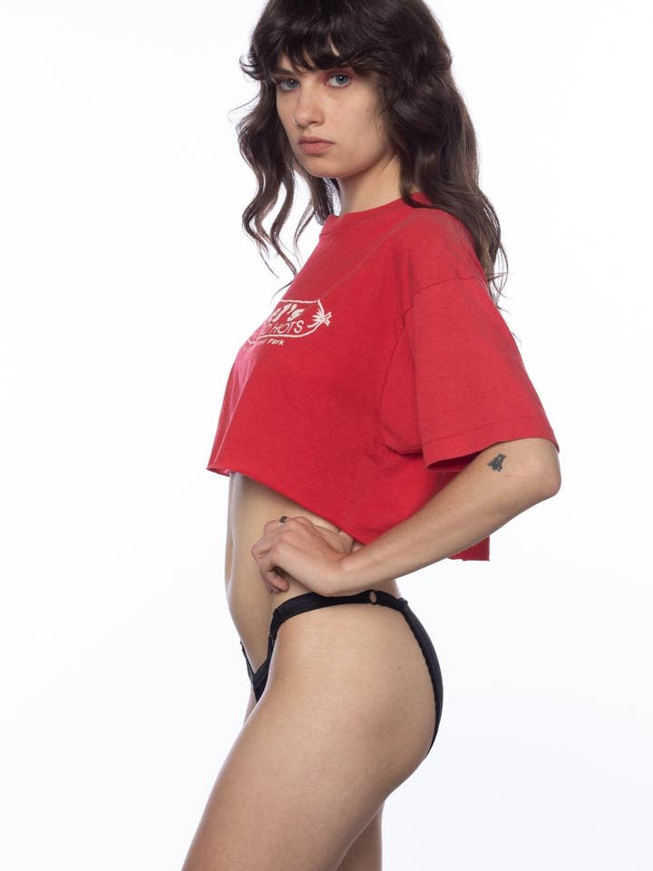 Solstice Intimates - Wholesale Underwear - Women's - MESH LOW-RIDER UNDERWEAR