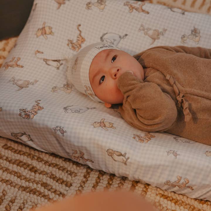 Copper Pearl - Wholesale Newborn/Knit Hat - Baby - Top Knot Hat - Winnie the Pooh and Friends3