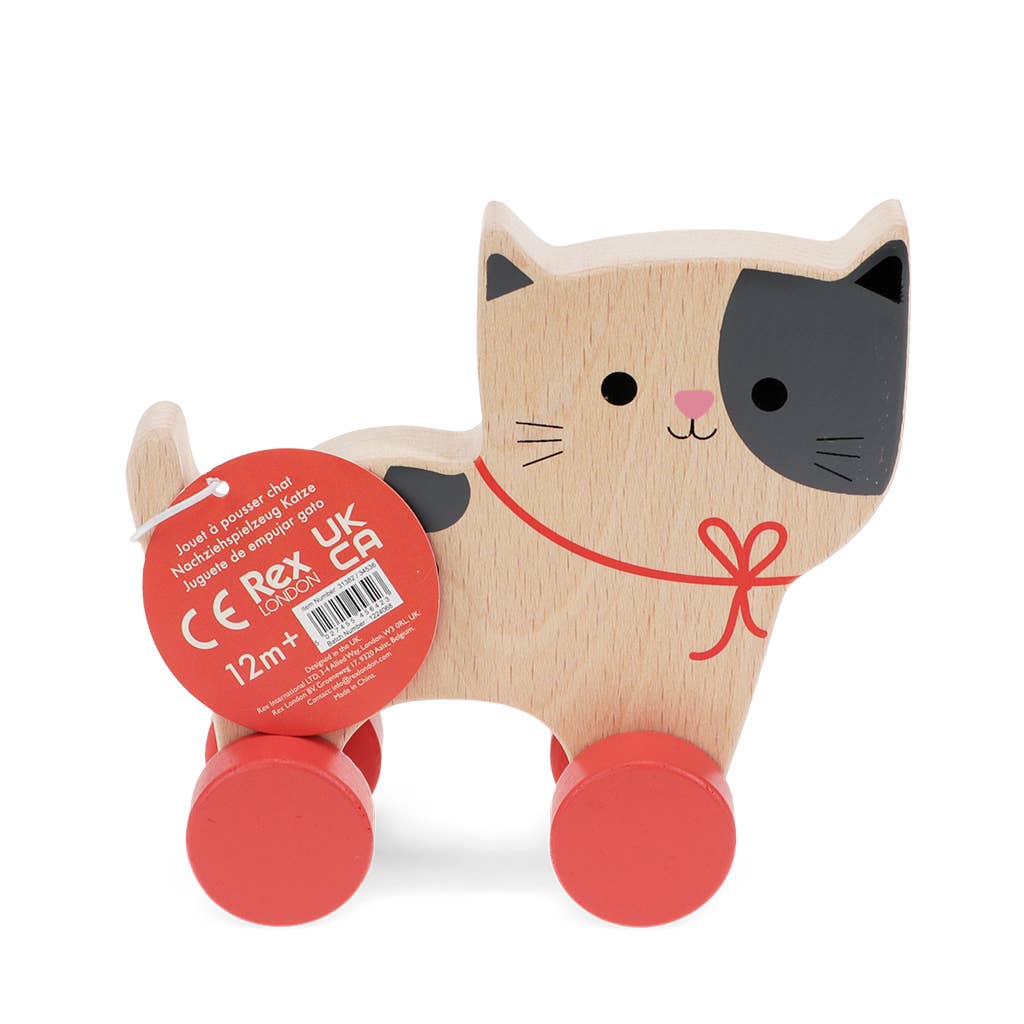 Rex B2B - UK – wholesale Wood toy – Child – Wooden push along toy - Cat2