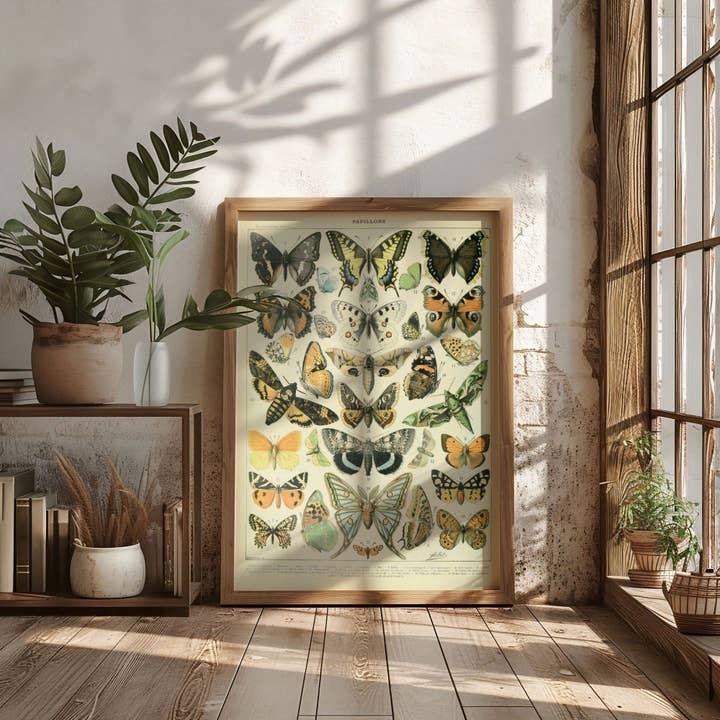 Plumnearly Prints - Wholesale Art Print - Millot Vintage Butterflies Illustration Art Print Poster 12