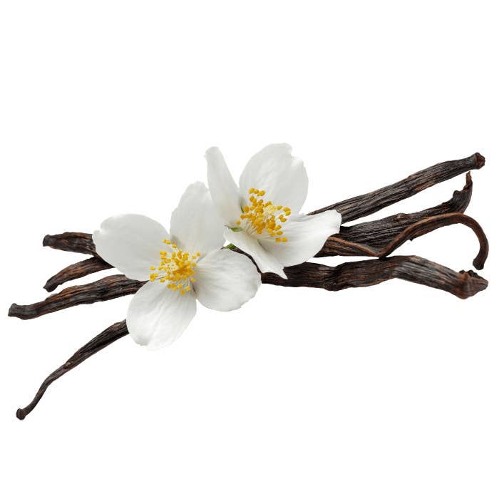 WOW Baking Company - Wholesale Cake mix - Gluten-Free Yellow Cake Mix2