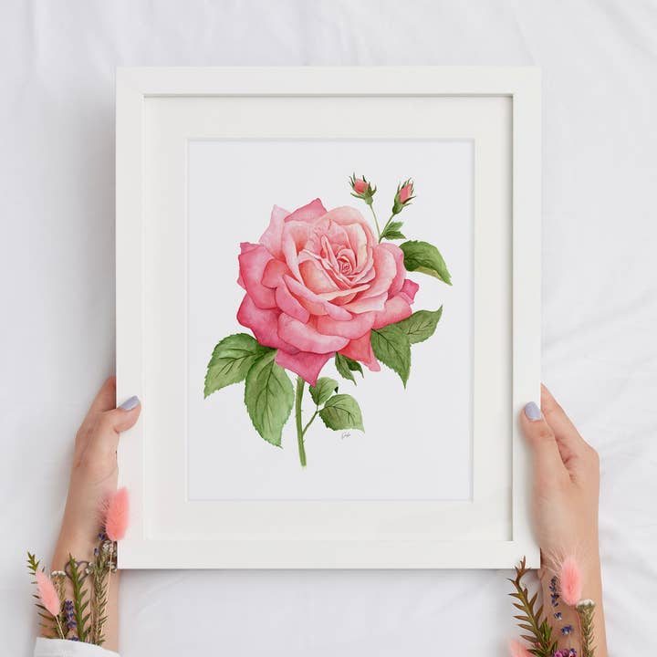 Impression d'art rose aquarelle | Impression d'art giclée botanique pour la vente par Markdisha Designs