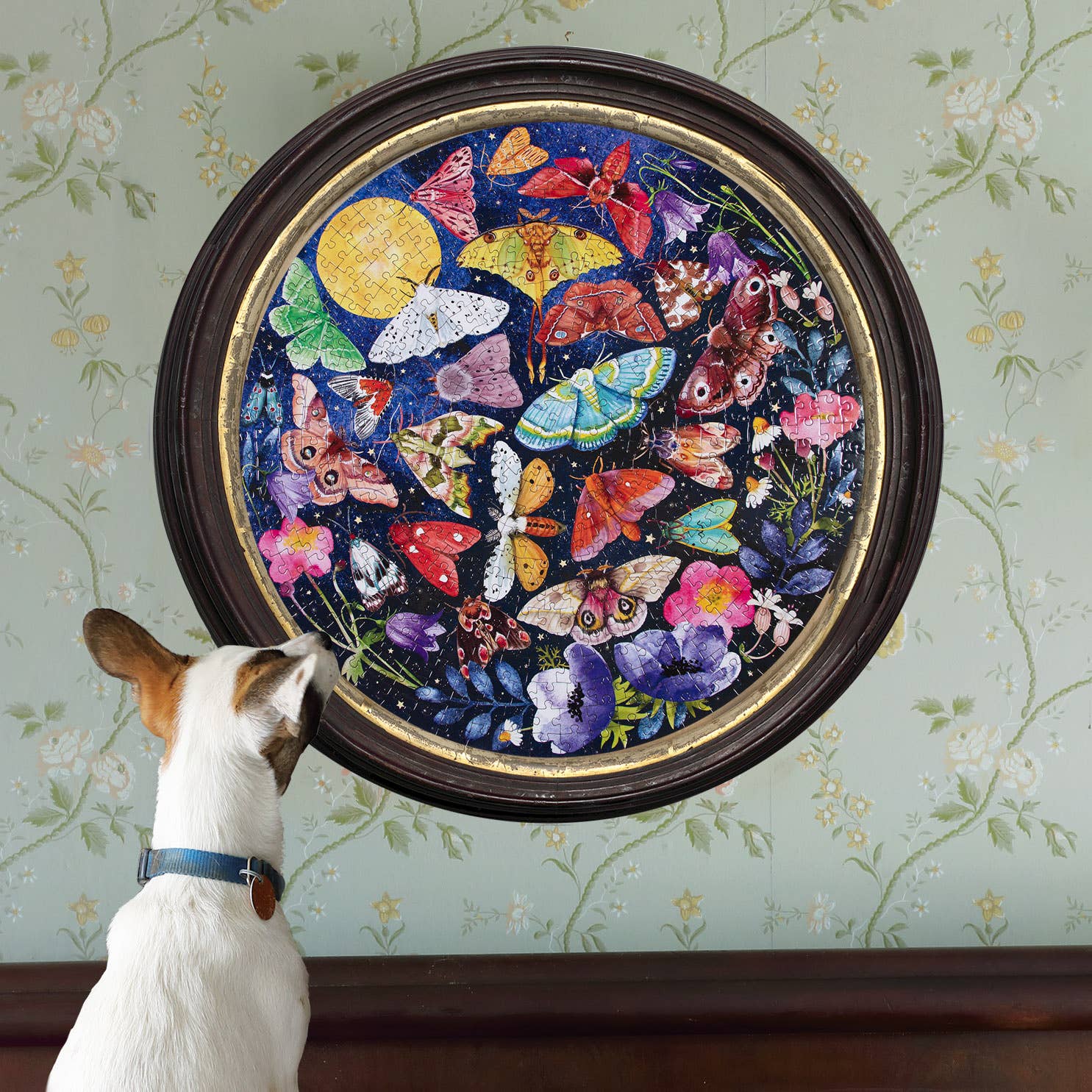 eeBoo - Wholesale Puzzle - Adult - Moths 500 Piece Round Puzzle4