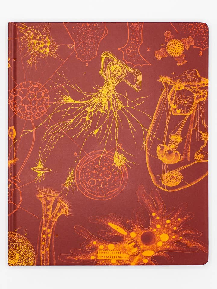 Carnet de laboratoire de microbiologie (lot de 6) pour la vente par Cognitive Surplus