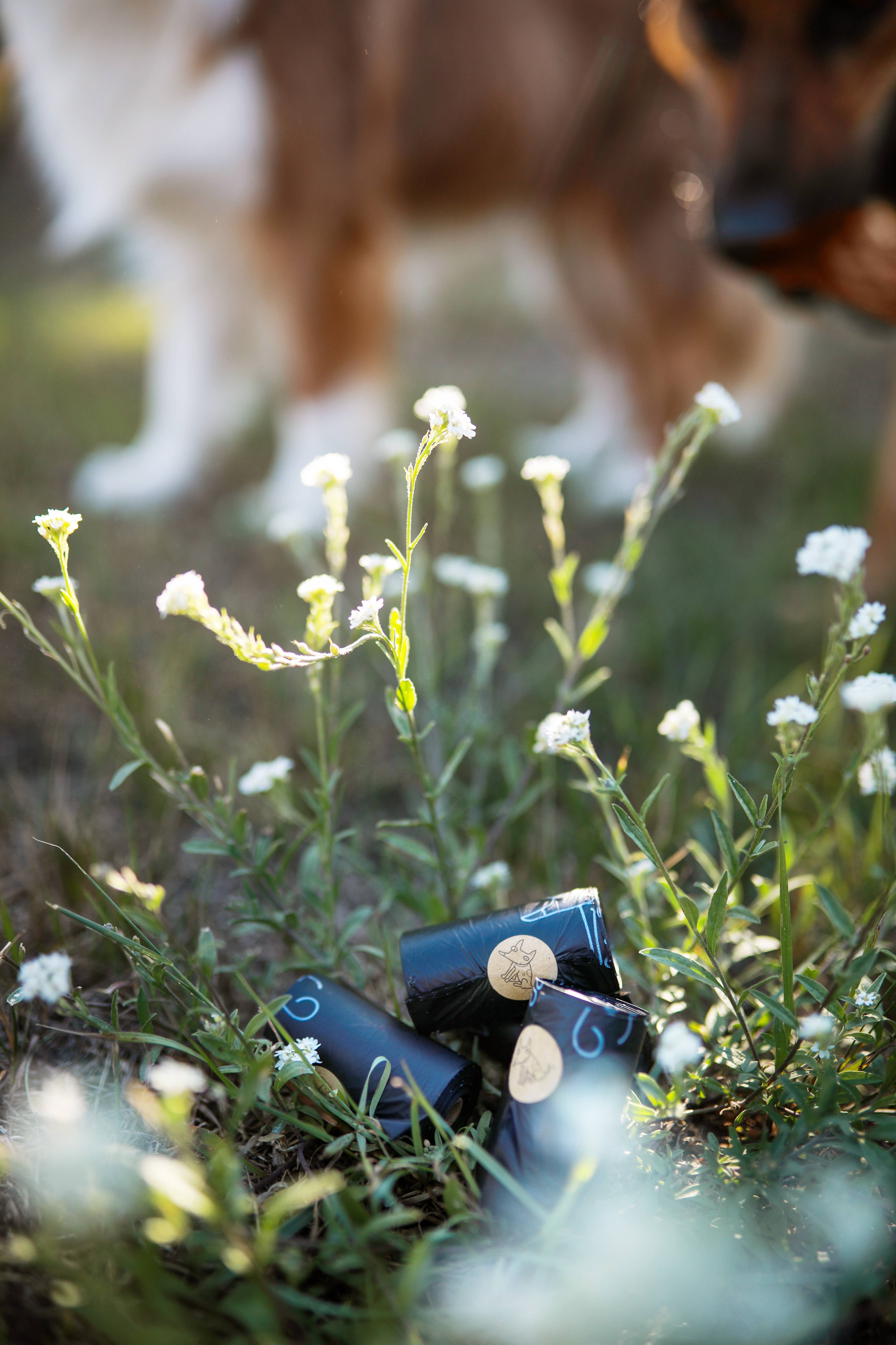 The Sustainable People - Wholesale Pet Poop Bag - Biodegradable Dog Poop Bags (200 loose rolls)13