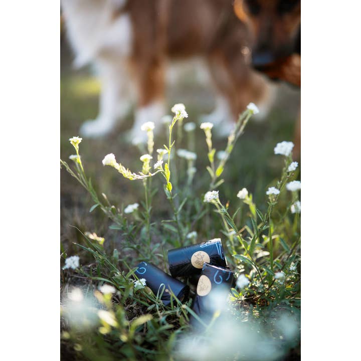 The Sustainable People - Wholesale Poepzak - Biologisch afbreekbare hondenpoepzakken zonder handvatten (120 zakken per doos)13