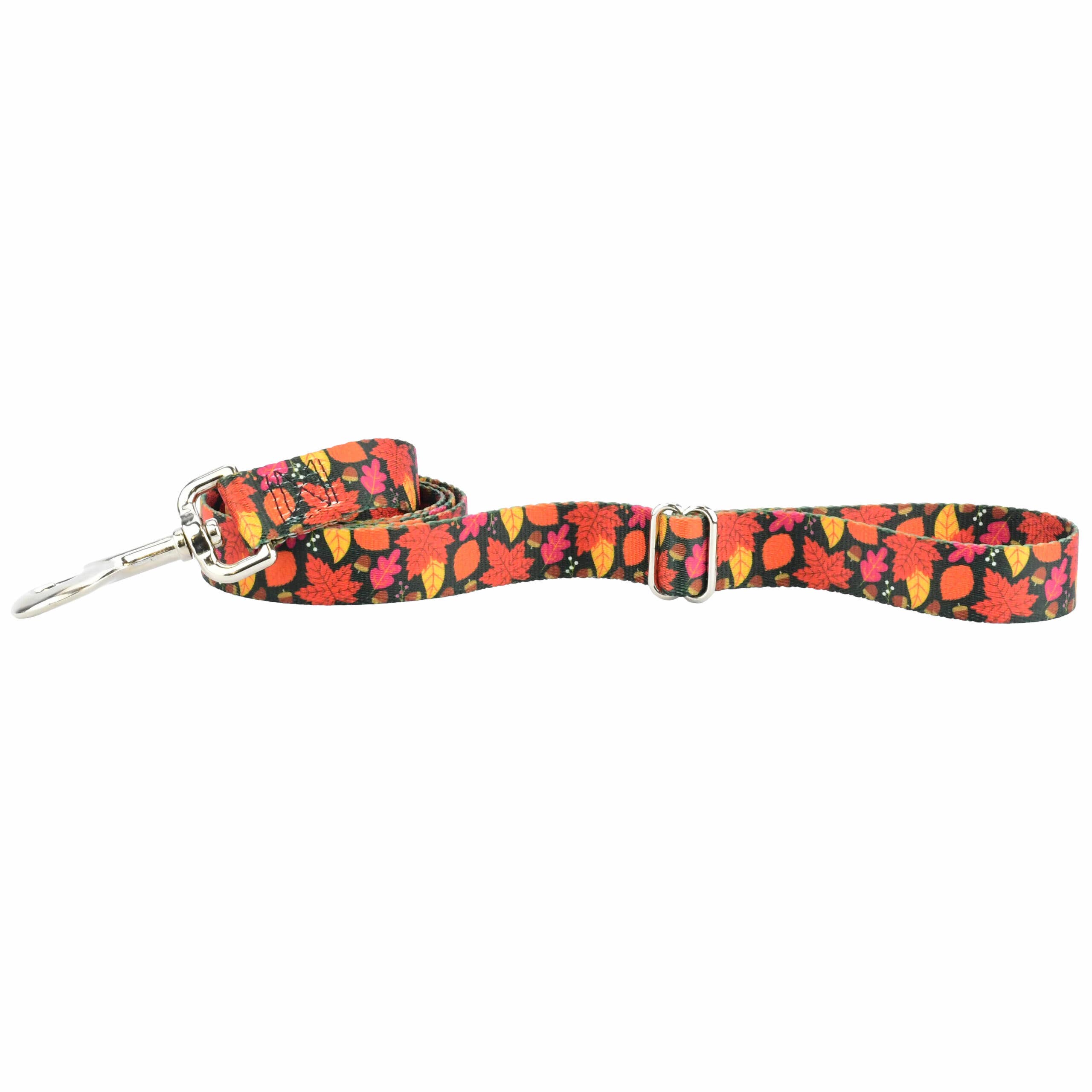 2 Hounds Design - Wholesale Pet Collar - Dog - 5/8″ EarthStyle Falling Leaves Dog Collar2