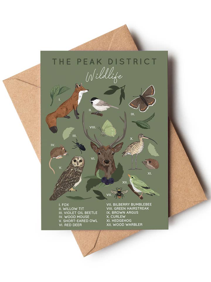 The Peak District Wildlife Animal & Insect Greeting Card for wholesale by Wildwood Paper