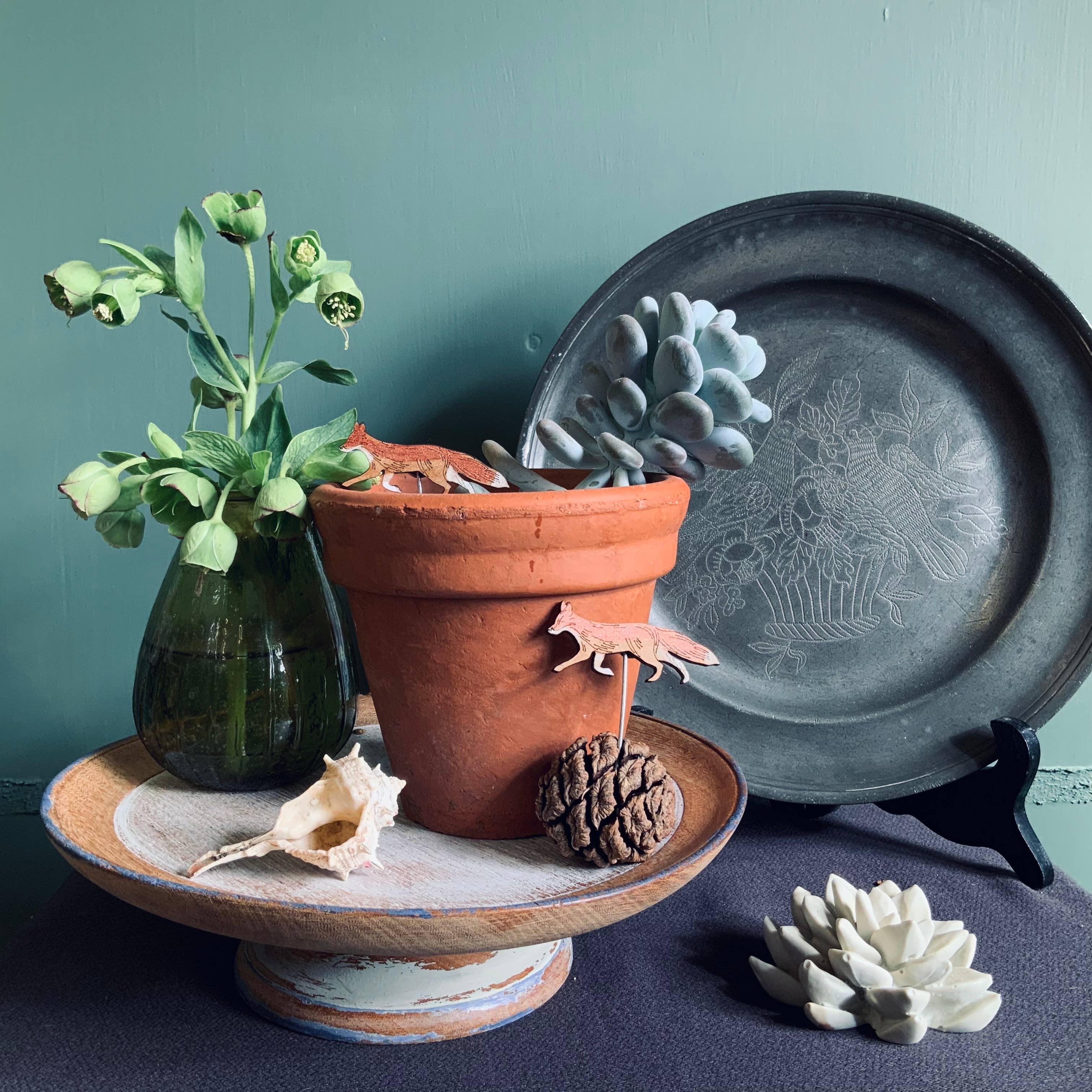 Lily Faith – wholesale Gräspiggar – Rävrävar till blomkrukor4