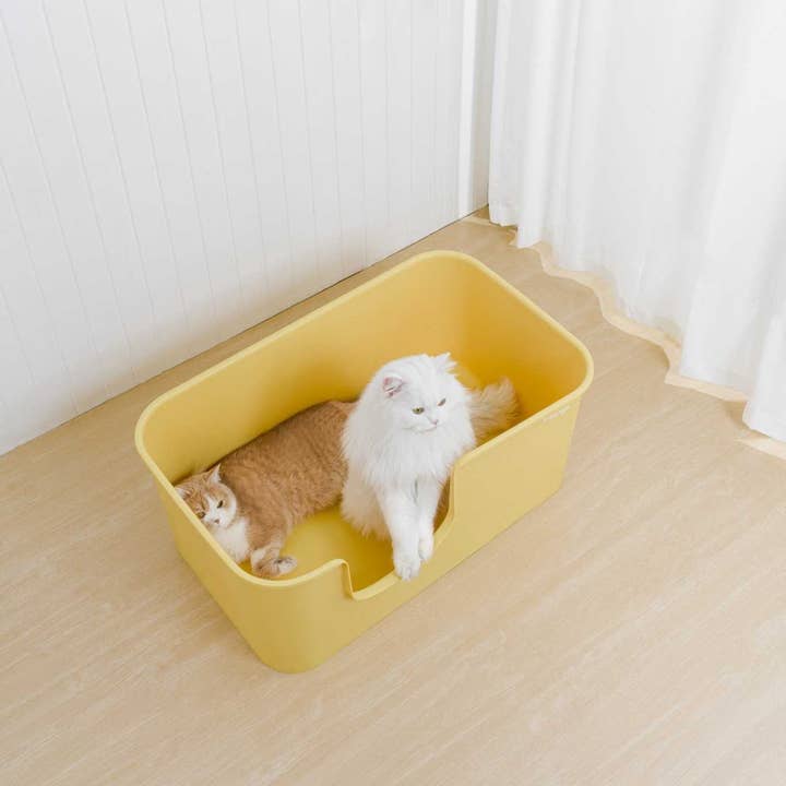 Mangopets - Wholesale Cat Litter Box - Butter Litter Box XXL (Double Extra Large)10
