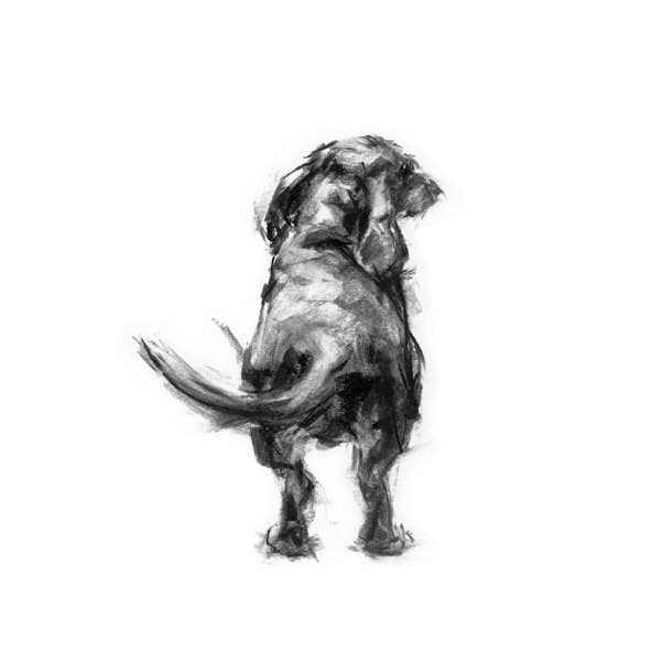 REMOVED BRAND - Wholesale Art Print - Dog Drawing Print, Dachshund Sketch "The Wag"1