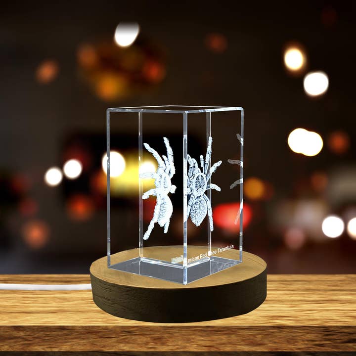 AB Crystal Collection – Objeto de mesa decorativo por atacado – Deslumbrante Escultura de Cristal de uma Tarântula de Joelho Vermelho Mexicana | Arte Decorativa de Aranha 3D