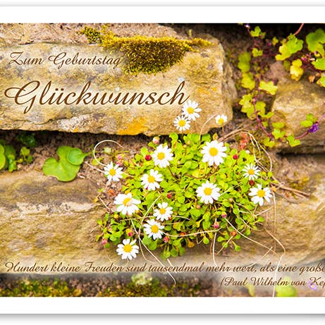 Compleanno/Biglietto d'auguri/519200 per la vendita all'ingrosso da parte di Yabué