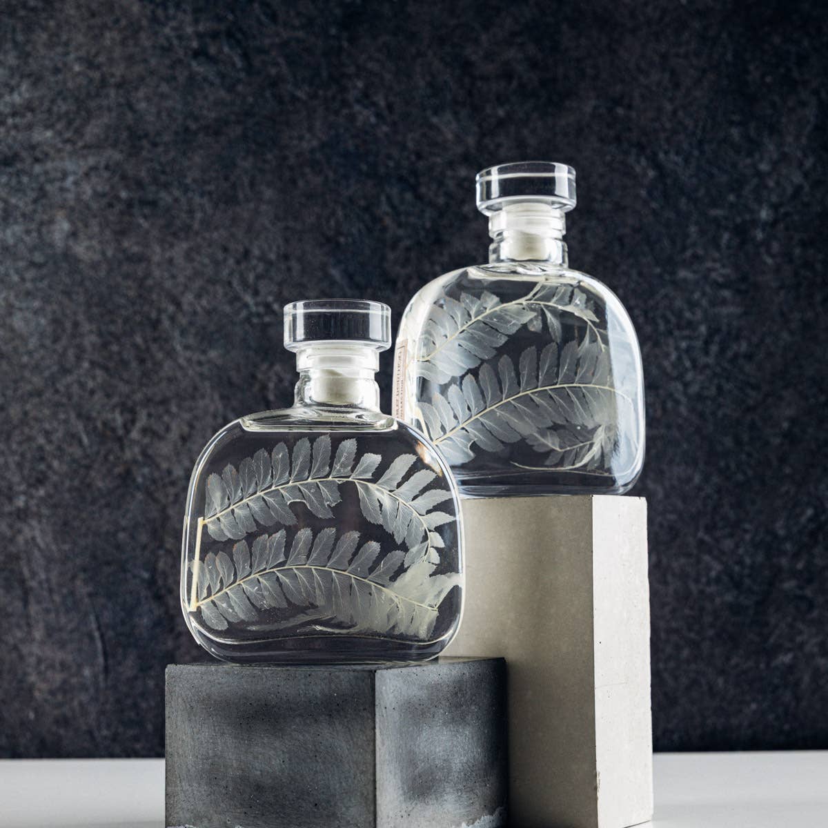 Theophile Berthon - Wholesale Live Plant - The Herbarium Capsule - White Leather Fern - Submerged Plant8