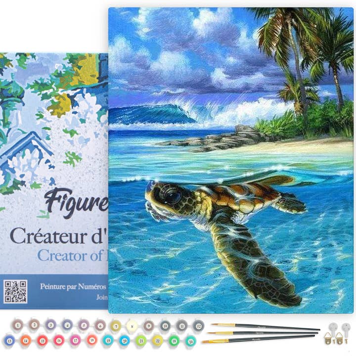 Paint by numbers Framed - Relaxing Turtle for wholesale by Figured'Art