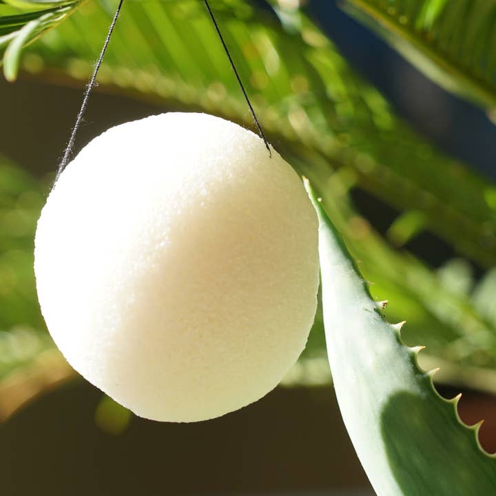 Karawan Authentic - Wholesale Bath Pouf/Sponge - Organic Konjac Sponge, Natural, Bulk