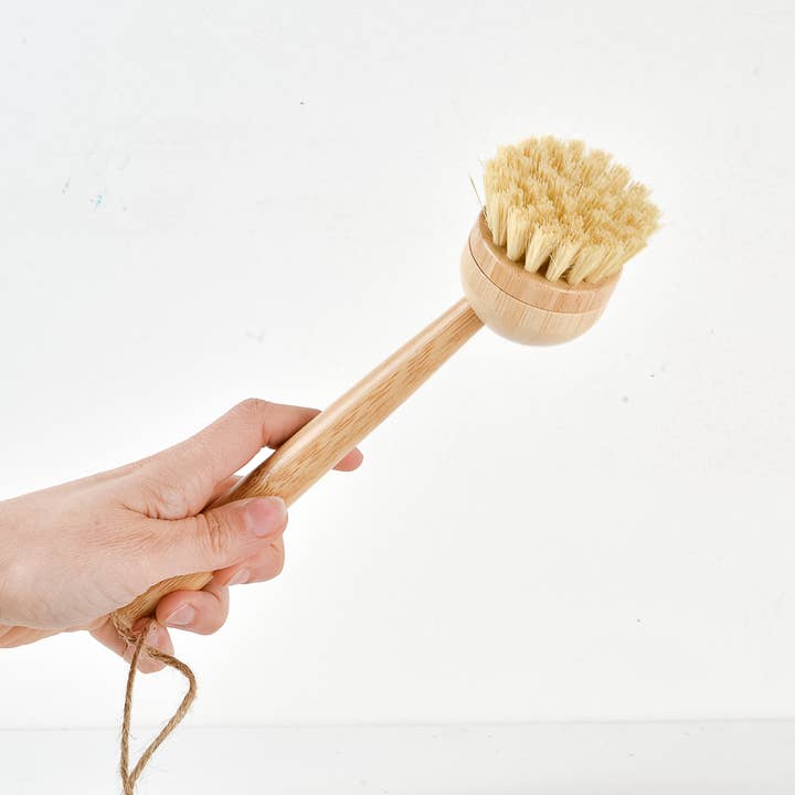 Eco For Real - Wholesale Cleaning Brush - POT-BRUSH AND DISH BRUSH5