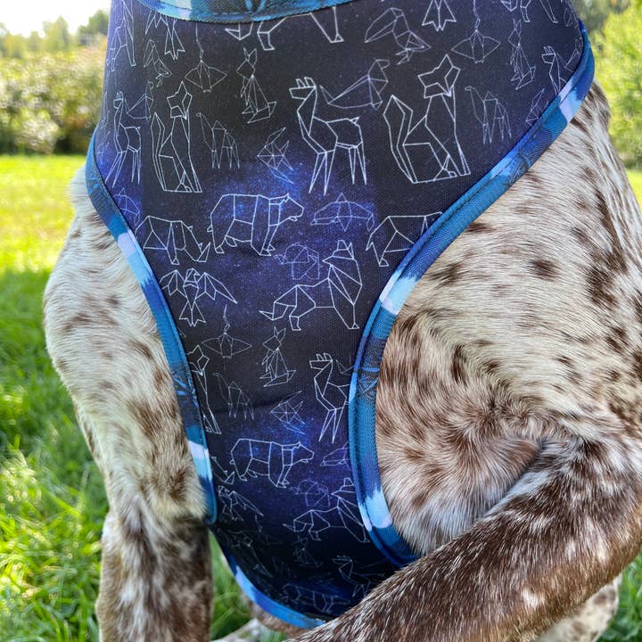 Sew Fetch Dog Co - Wholesale Pet Harness - Dog - Compass Rose Reversible Neoprene Harness, Leashes, Poo bag