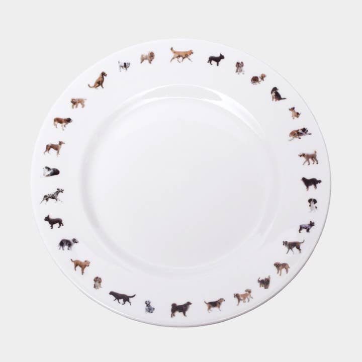 POWDERHOUND SIDE PLATE DOG CHAIN for wholesale by Powderhound