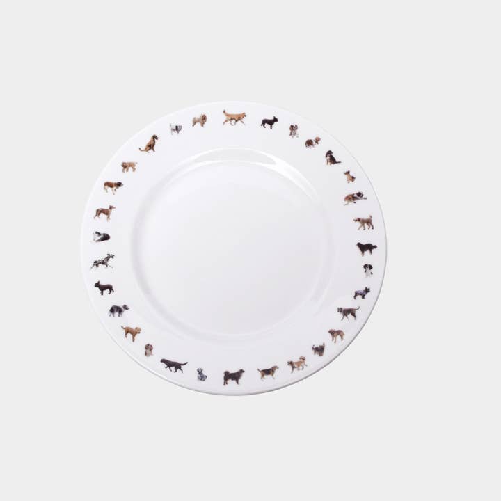 CHAÎNE POUR CHIEN POWDERHOUND AVEC PLAQUE LATÉRALE pour la vente par Powderhound